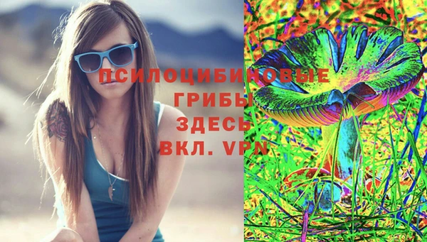 соль курить ск Алзамай